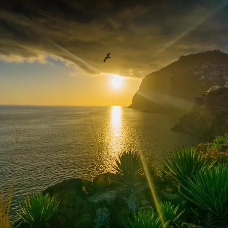 Daire The Atlantic Ocean View